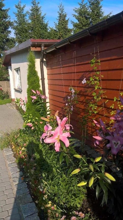Ferienwohnung Malwa Jezierzany Exterior foto